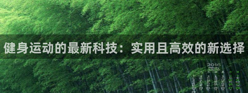 意昂4新能源:健身运动的最新科技:实用且高效的新选择