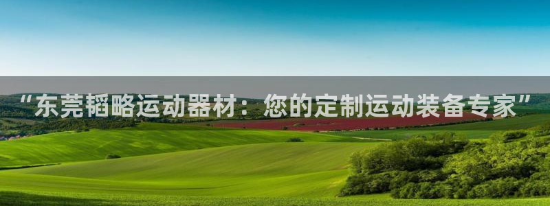 意昂4集团E.ON:“东莞韬略运动器材:您的定制运动装备专家