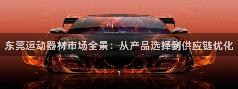 意昂体育4招商电话号码是多少啊:东莞运动器材市场全景:从产品