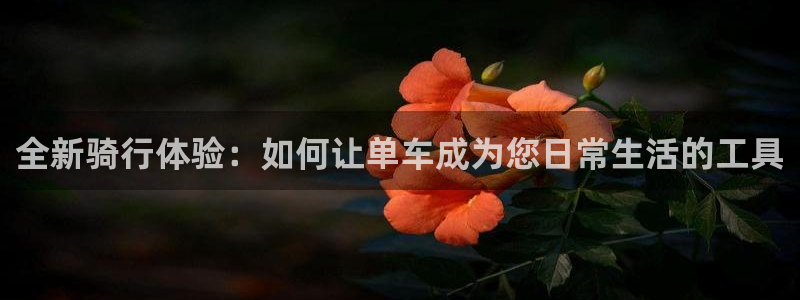 意昂平台体育:全新骑行体验:如何让单车成为您日常生活的工具