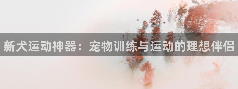 意昂体育4招商电话是多少啊:新犬运动神器:宠物训练与运动的理