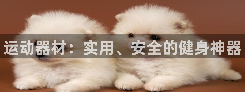 意昂体育4平台注册:运动器材:实用、安全的健身神器