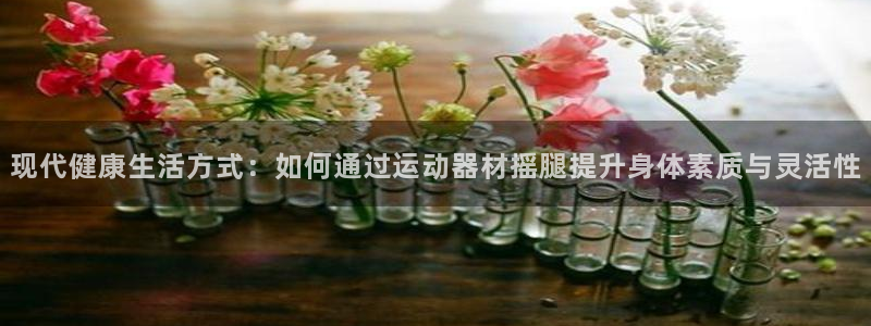 意昂体育4软件:现代健康生活方式:如何通过运动器材摇腿提升身