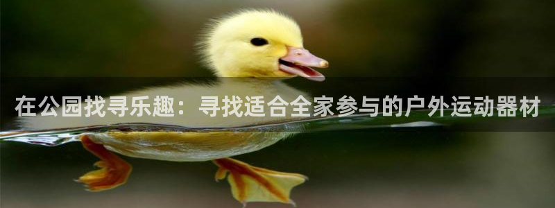 意昂体育4:在公园找寻乐趣:寻找适合全家参与的户外运动器材