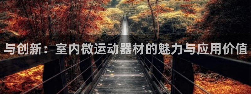 意昂体育4招商电话号码查询:与创新:室内微运动器材的魅力与应